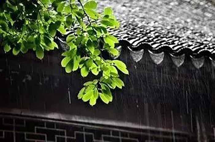 广东东菱电源科技有限公司